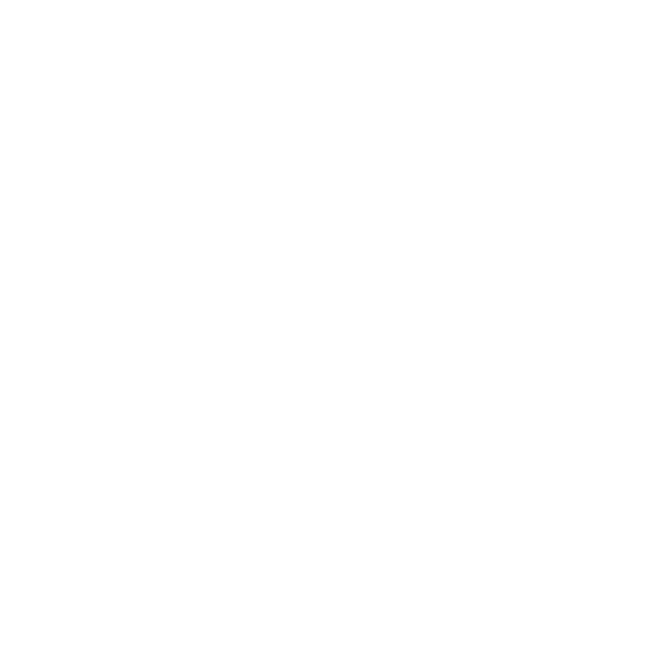 CONCEPTION